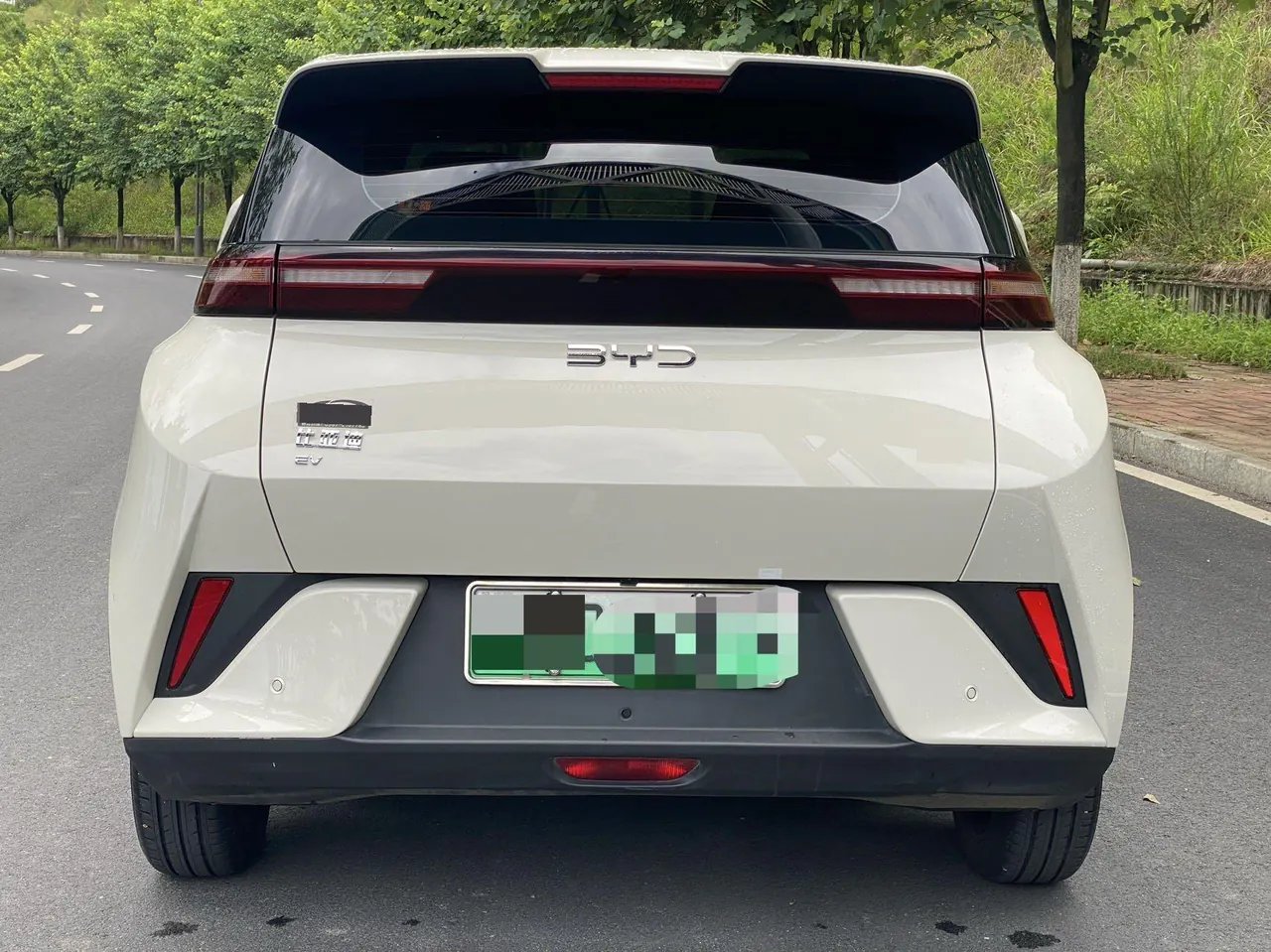 BYD 2025 Seagull Smart Driving Edition 405km Free Edition Automatic Gear 9
