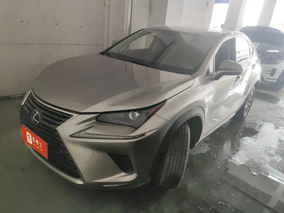 Lexus NX (Imported) 2020 NX200 2.0 Stepless Automatic Gear - View 1