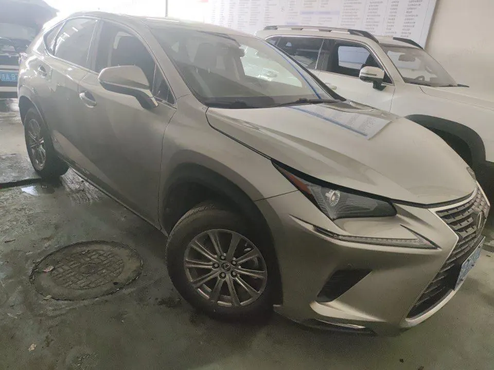 Lexus NX (Imported) 2020 NX200 2.0 Stepless Automatic Gear 3