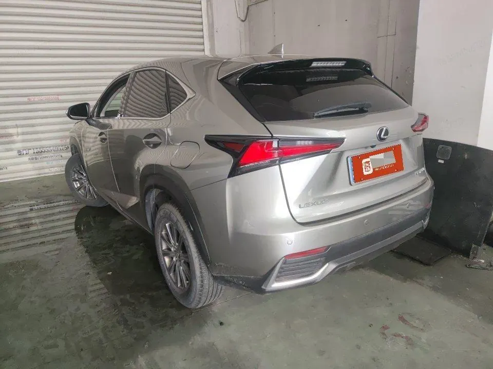 Lexus NX (Imported) 2020 NX200 2.0 Stepless Automatic Gear 4