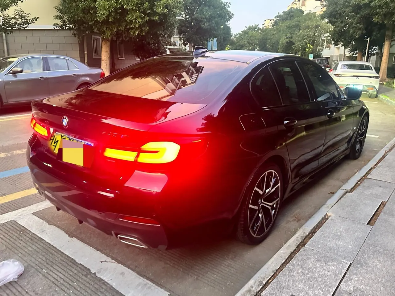 BMW 5 Series (Imported) 2021 530i 2.0T Fashion Edition M Sports Suit Automatic Gear 8