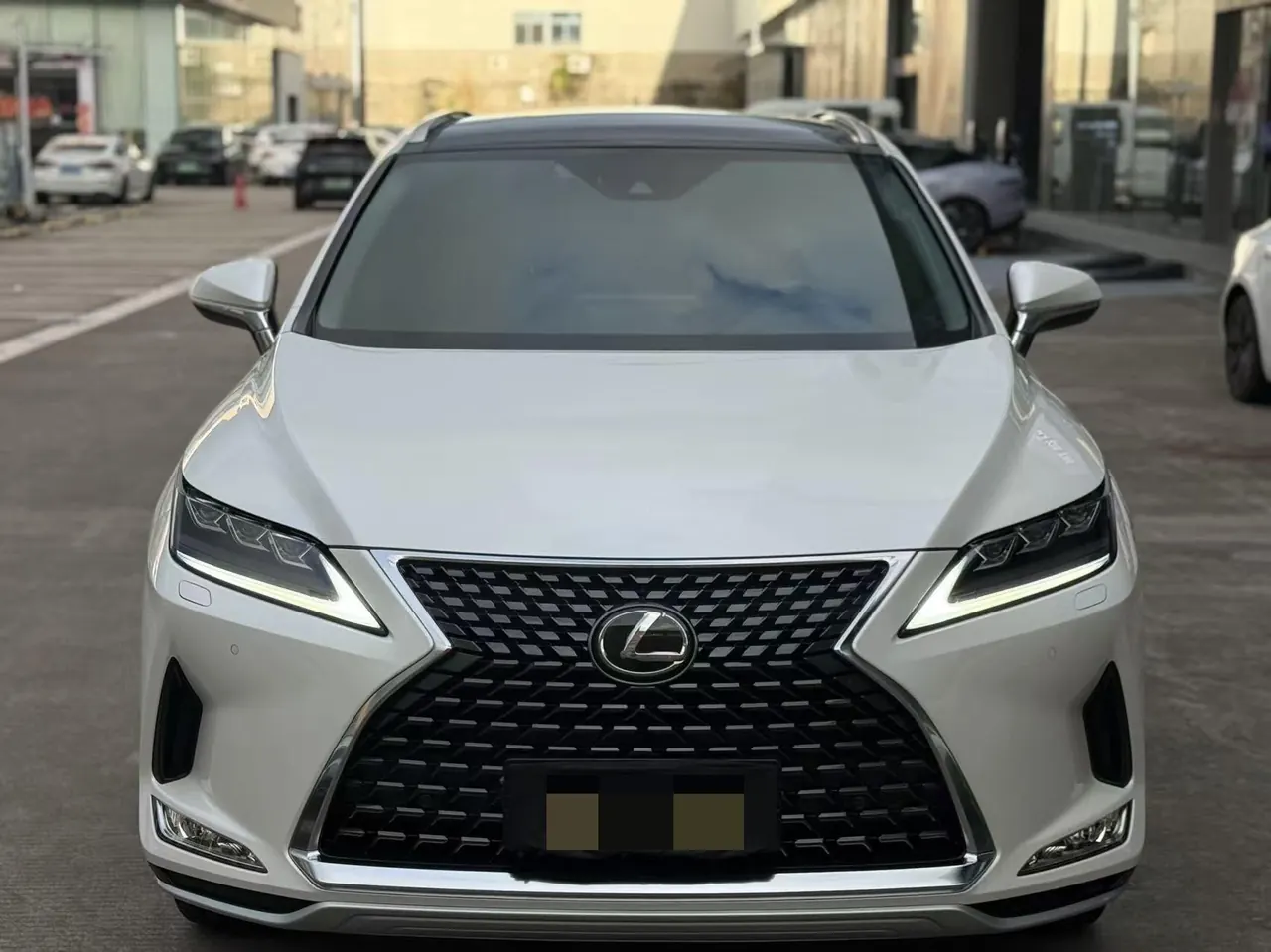 Lexus RX (Imported) 2020 RX300 2.0T Four-wheel Drive Elegant Edition (Modified) Automatic Gear 3