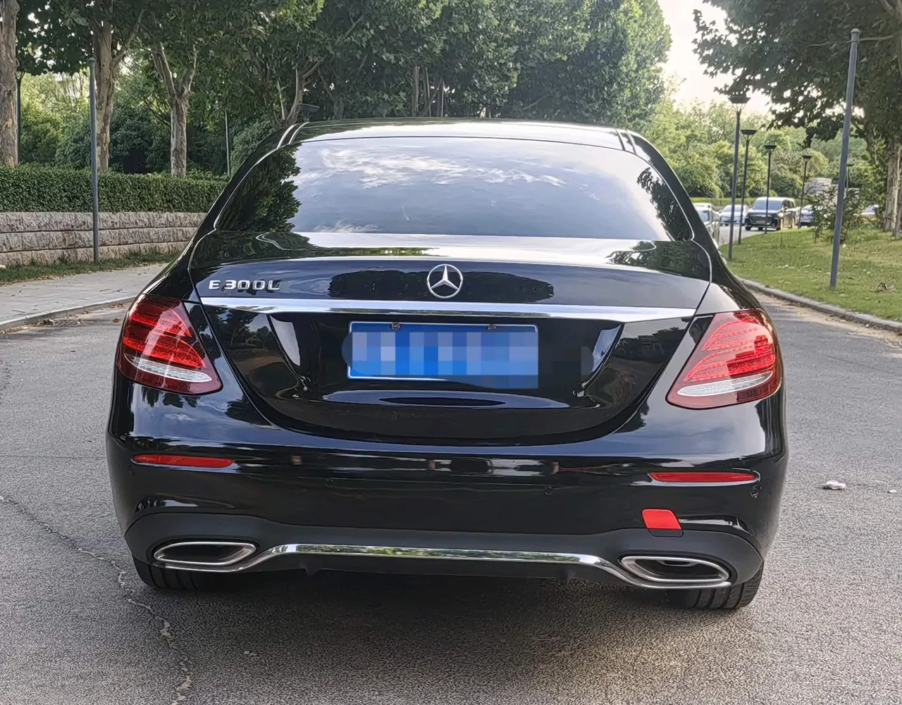 Mercedes Benz E Class 2020 E 300 L 2.0T Sports Fashion (Modified) Automatic Gear 19