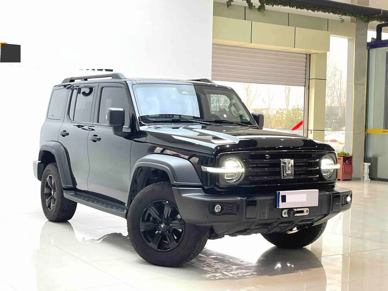 Tank 2021 Tank 300 2.0T Off-road Conqueror Automatic 3