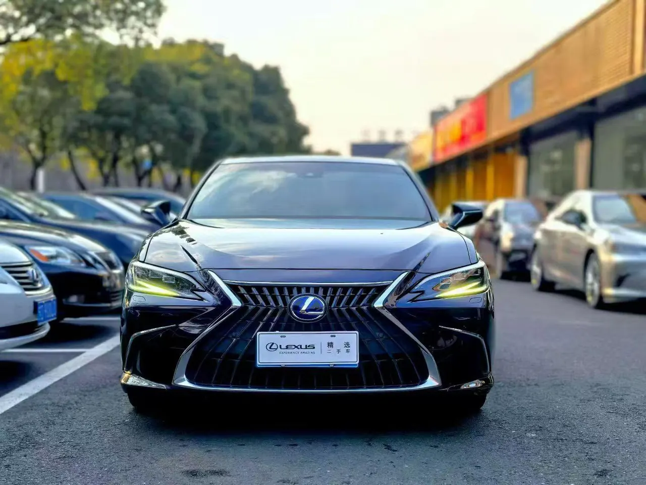 Lexus ES (Imported) 2022 ES300h 2.5 Stepless Premium Edition Automatic Gear 2