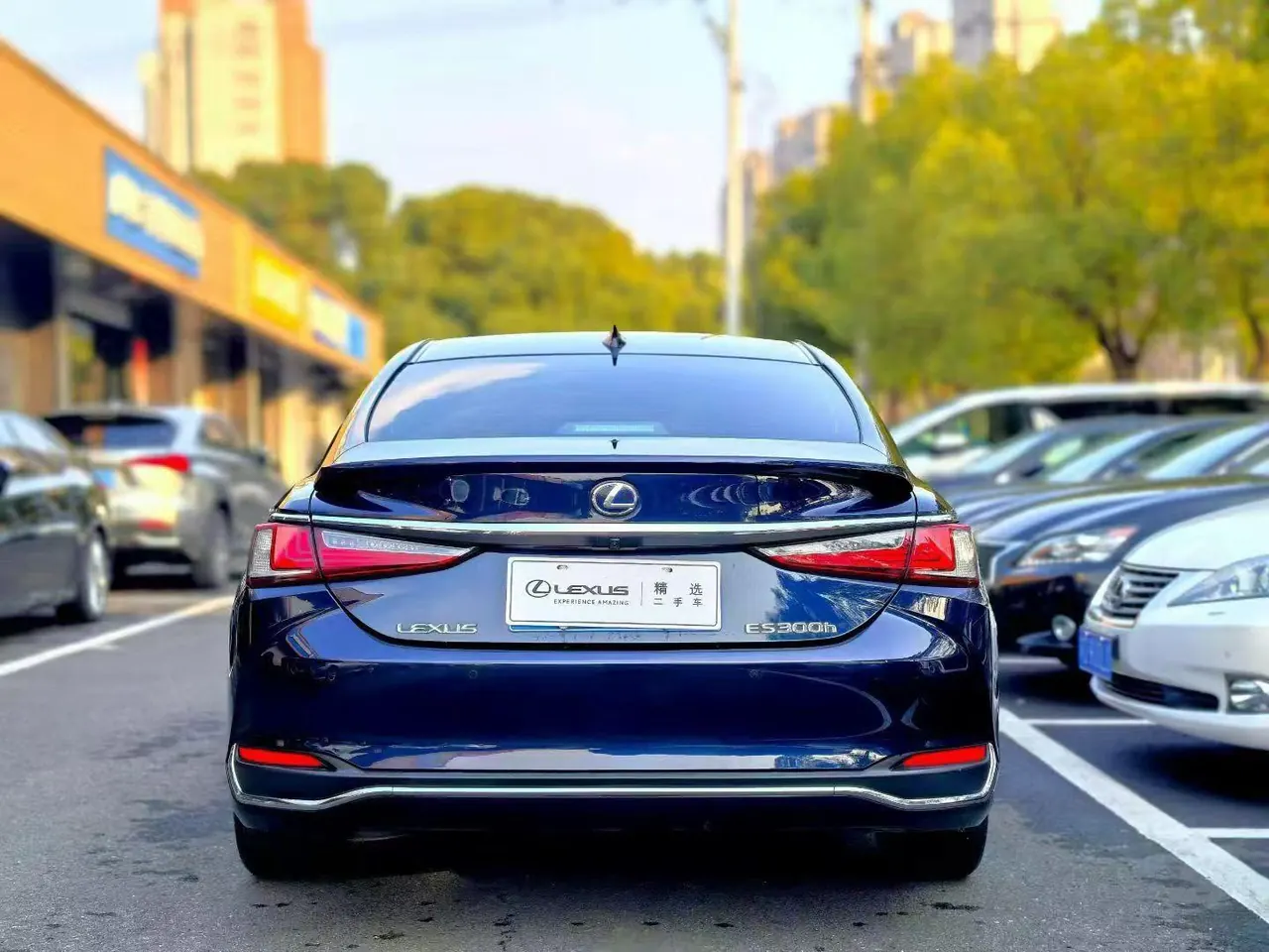 Lexus ES (Imported) 2022 ES300h 2.5 Stepless Premium Edition Automatic Gear 7
