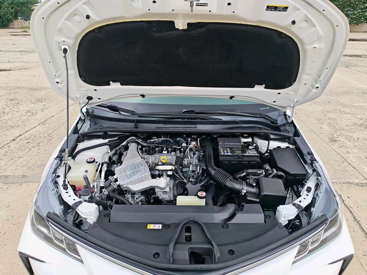 Toyota 2022 corolla 1.2T stepless pioneer PLUS version automatic gear 15