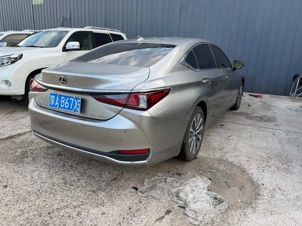 Lexus ES (Imported) 2024 ES200 2.0 Stepless Special Limited Edition Automatic Gear 8