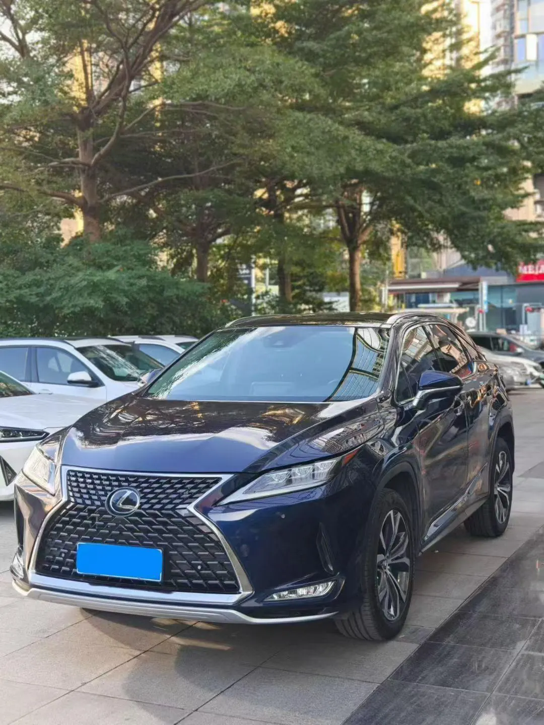 Lexus RX (Imported) 2020 RX300 2.0T Two-Drive Comfort Edition Automatic Gear - View 1