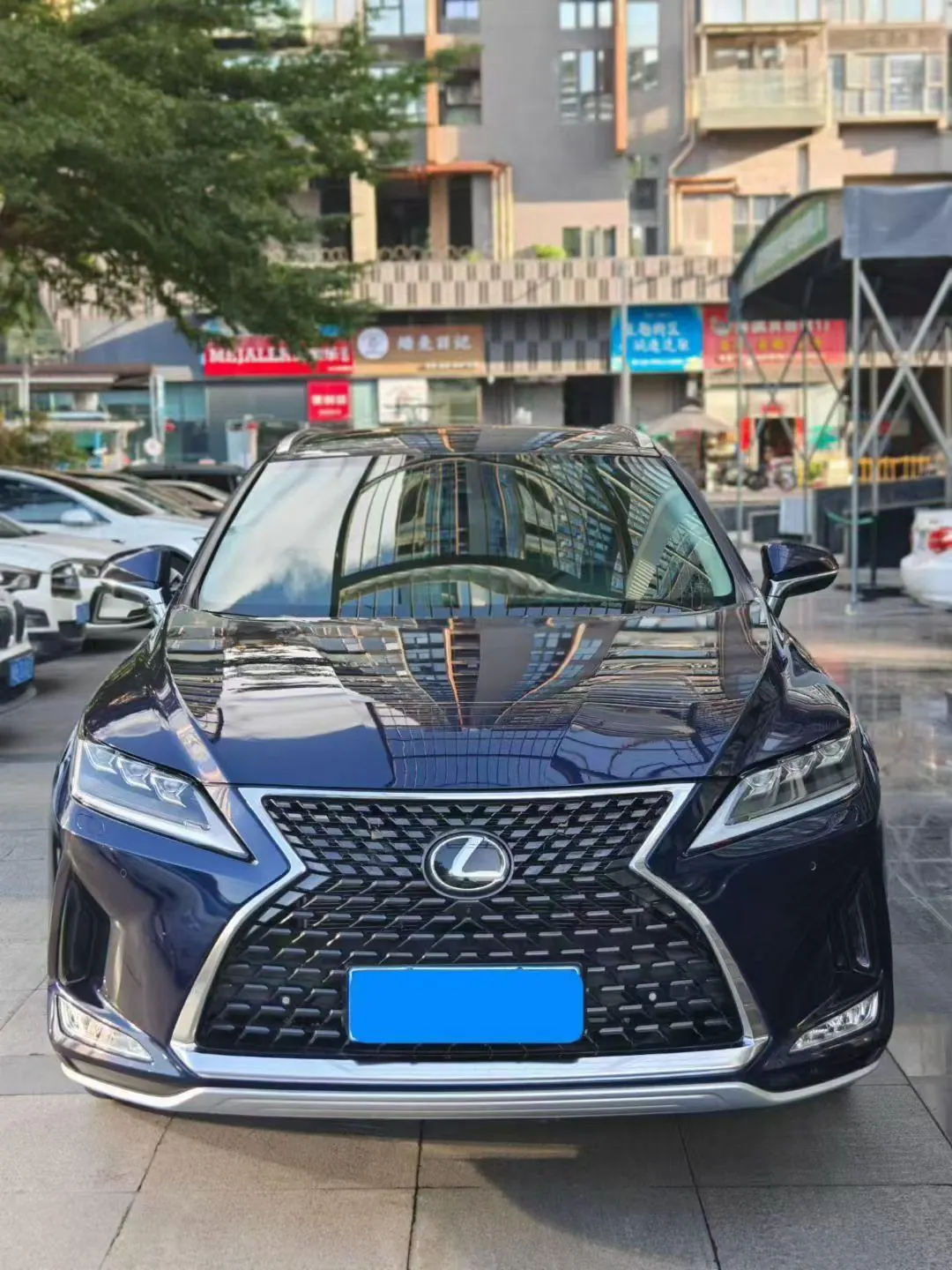 Lexus RX (Imported) 2020 RX300 2.0T Two-Drive Comfort Edition Automatic Gear 2