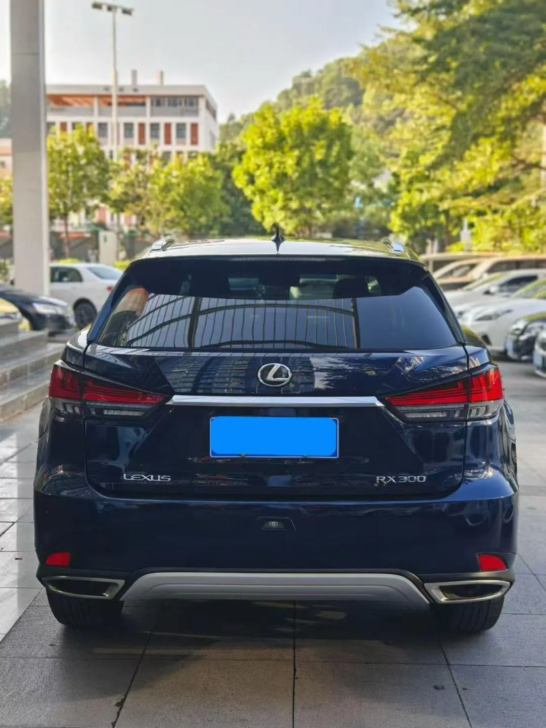 Lexus RX (Imported) 2020 RX300 2.0T Two-Drive Comfort Edition Automatic Gear 8