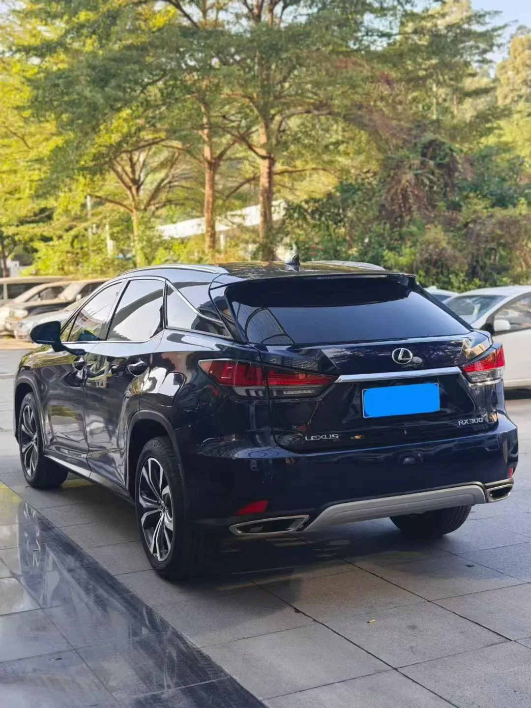 Lexus RX (Imported) 2020 RX300 2.0T Two-Drive Comfort Edition Automatic Gear 9