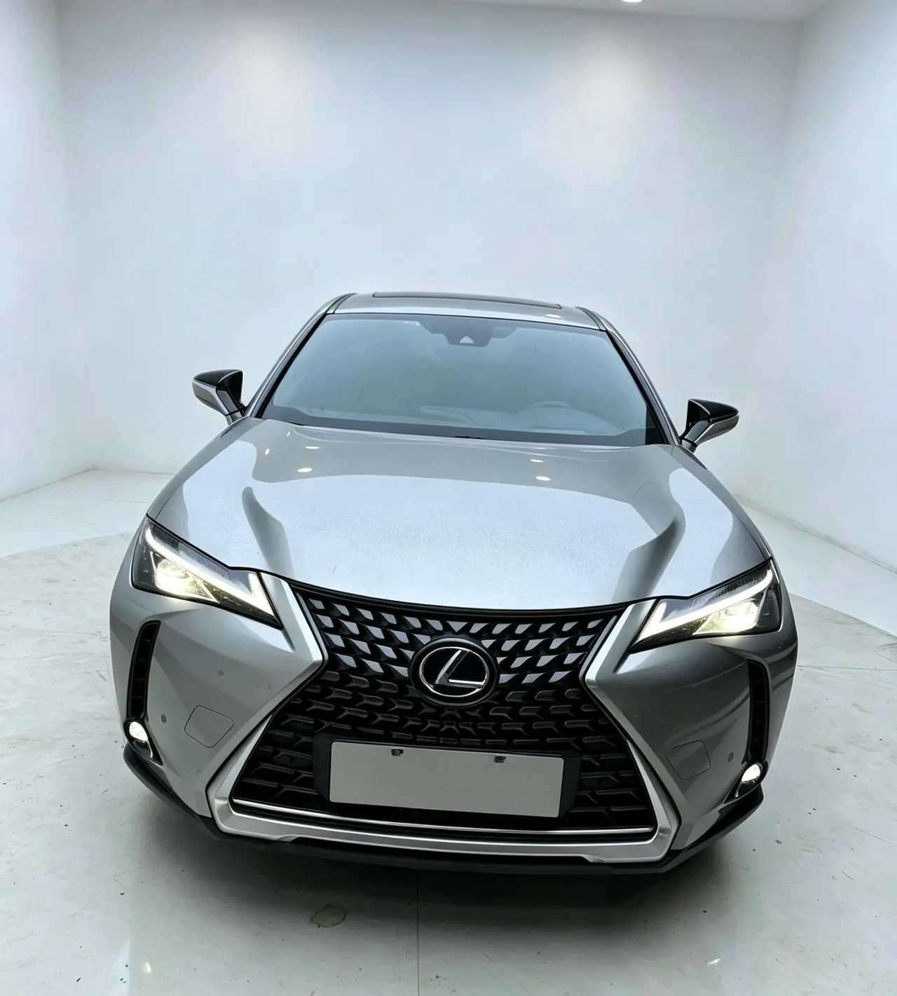 Lexus UX New Energy (Imported) 2020 UX 300e Pure and Enjoy Edition Automatic Gear 2