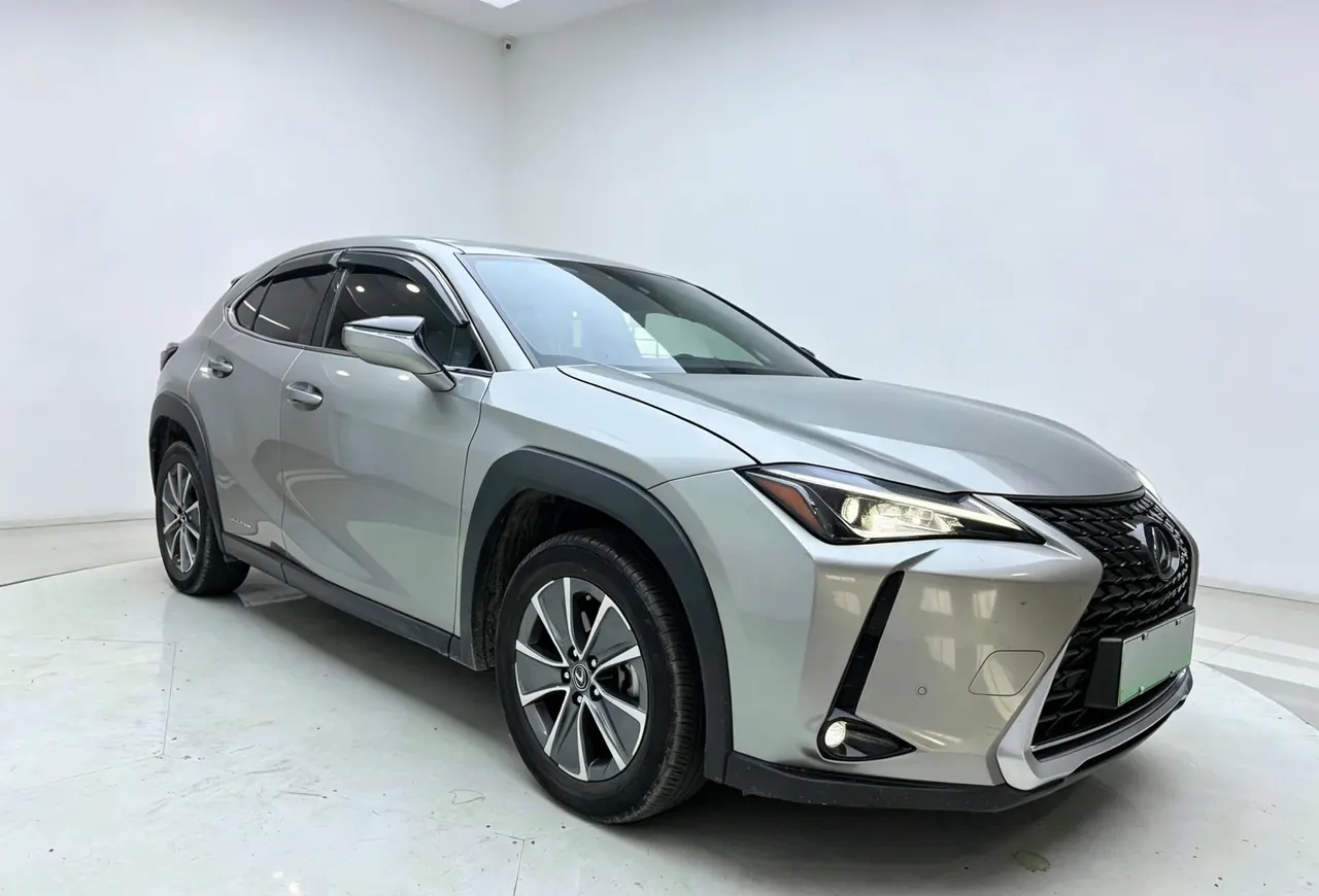 Lexus UX New Energy (Imported) 2020 UX 300e Pure and Enjoy Edition Automatic Gear 3