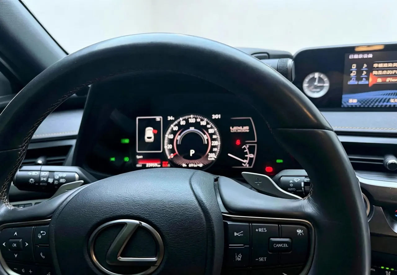 Lexus UX New Energy (Imported) 2020 UX 300e Pure and Enjoy Edition Automatic Gear 5