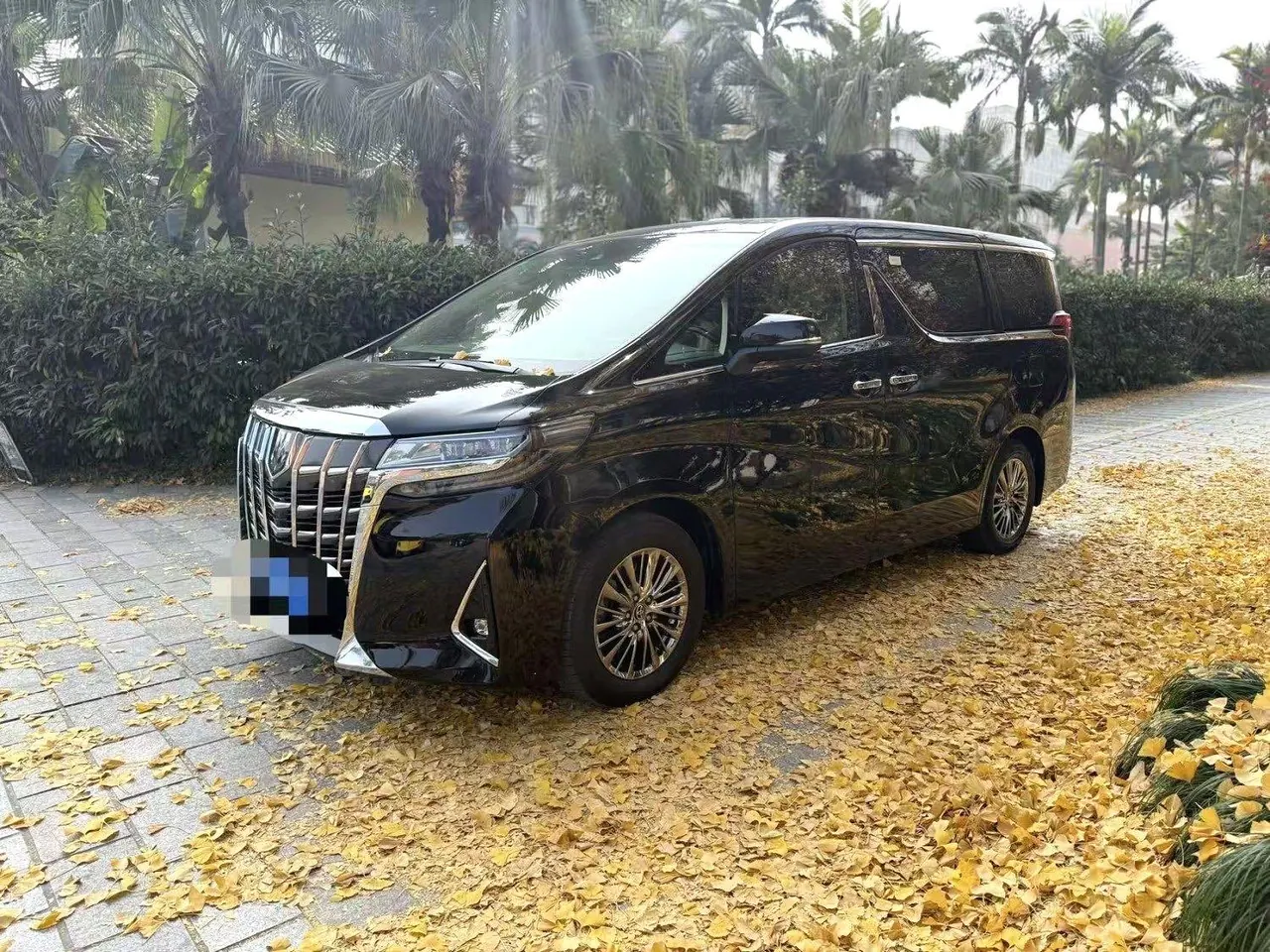 Open image lightbox: Toyota Erffa (Imported) 2020 Erffa 2.5 Stepless Premium Edition Automatic Gear