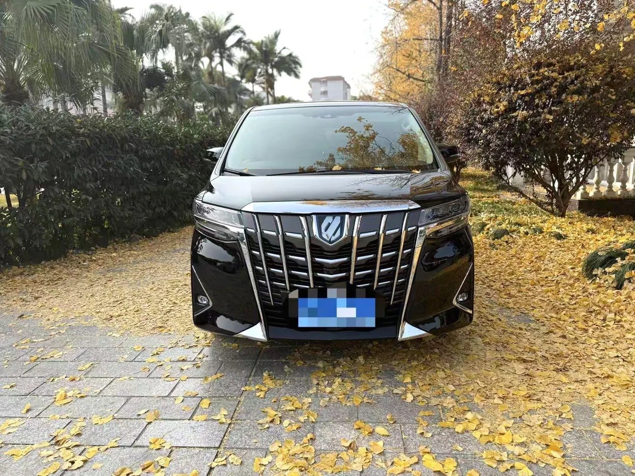 Toyota Erffa (Imported) 2020 Erffa 2.5 Stepless Premium Edition Automatic Gear 2
