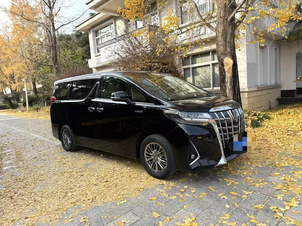 Toyota Erffa (Imported) 2020 Erffa 2.5 Stepless Premium Edition Automatic Gear 3