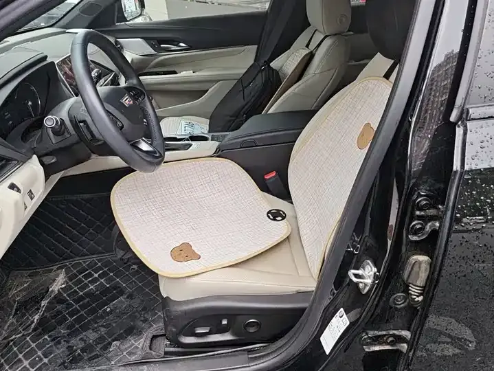Cadillac CT4 2023 25T Luxury Edition 9