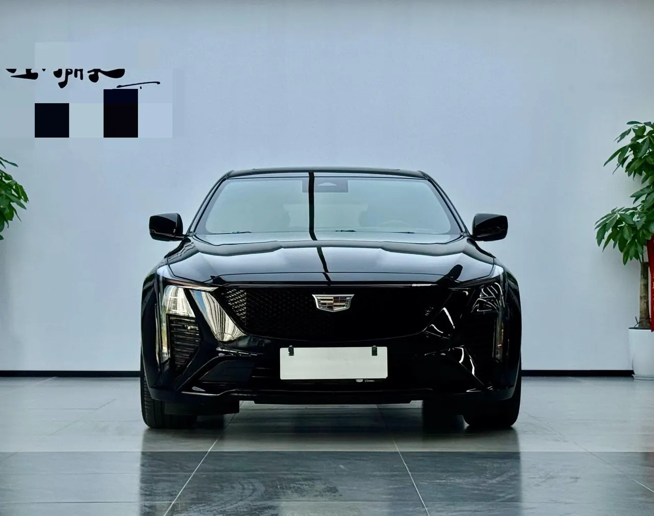 Cadillac 2024 CT5 2.0T 28T Luxury Pro Auto 2