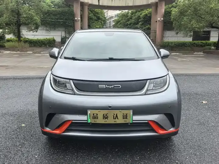 Dolphin 2021, 405 km, Fashion Edition - View 1