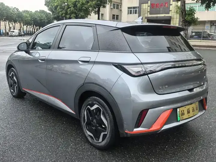 Dolphin 2021, 405 km, Fashion Edition 7