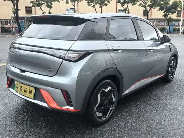 Dolphin 2021, 405 km, Fashion Edition 9