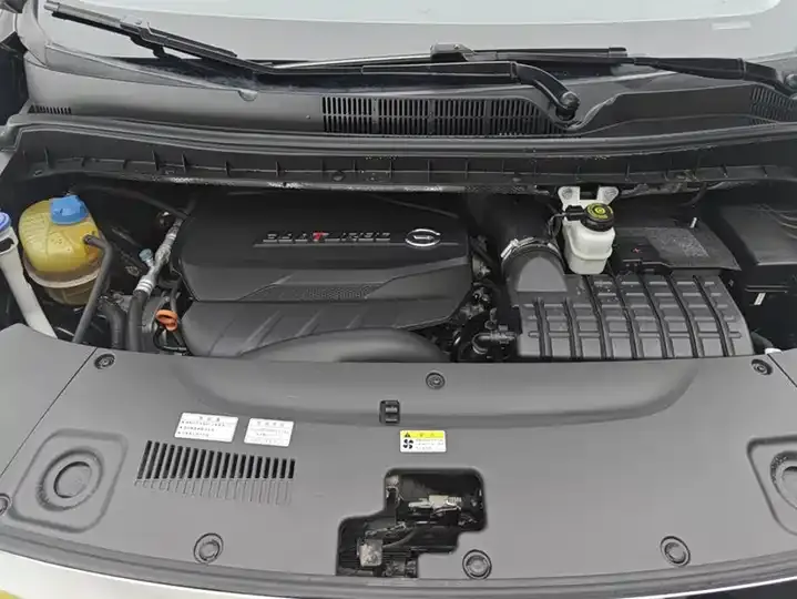 GAC Trumpchi M8 2021 Model Prestige Series 390T Supreme Edition 10