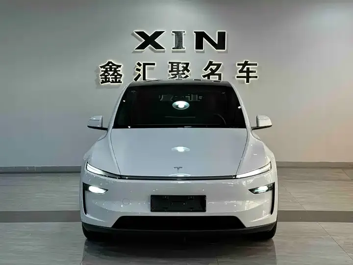 Model Y 2026 model modified long-range rear-wheel drive version - View 1