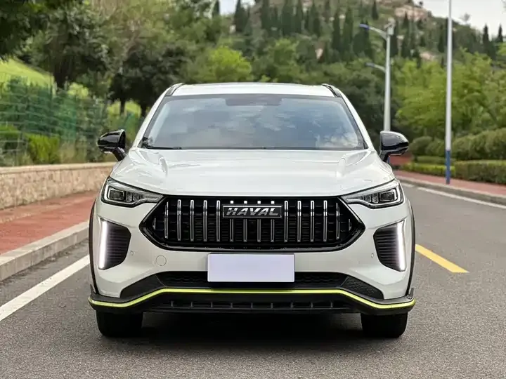Haval Red Rabbit 2022 Jin Xiang Edition 1.5T Copper Rabbit 2