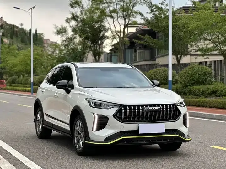 Haval Red Rabbit 2022 Jin Xiang Edition 1.5T Copper Rabbit 3