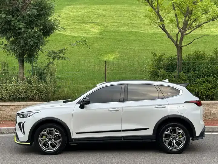 Haval Red Rabbit 2022 Jin Xiang Edition 1.5T Copper Rabbit 4