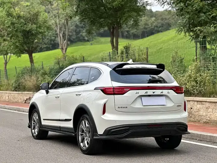 Haval Red Rabbit 2022 Jin Xiang Edition 1.5T Copper Rabbit 5