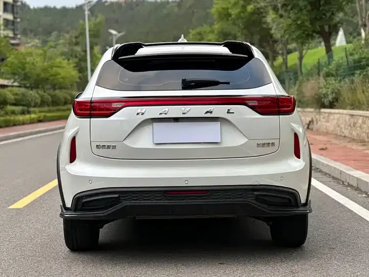 Haval Red Rabbit 2022 Jin Xiang Edition 1.5T Copper Rabbit 6