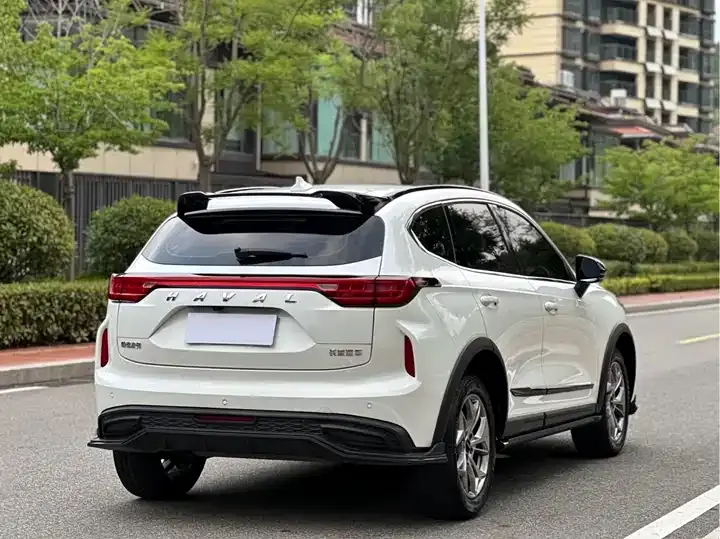 Haval Red Rabbit 2022 Jin Xiang Edition 1.5T Copper Rabbit 7