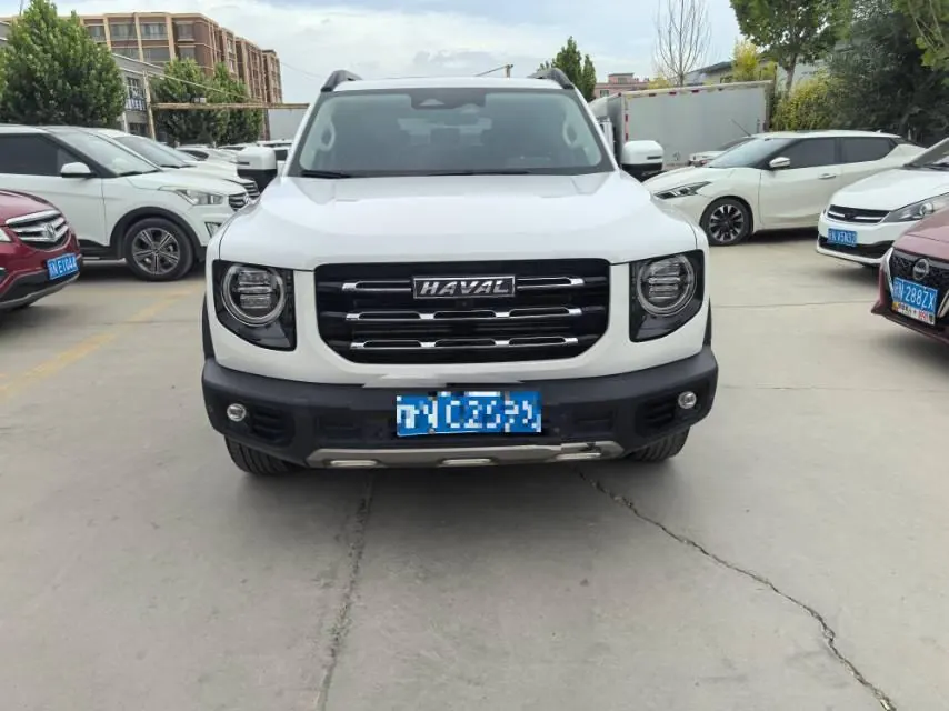Haval 2021 Big Dog 1.5T Horse Dog Wangcai Edition Automatic Gear 2