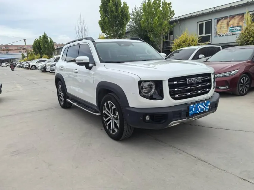 Haval 2021 Big Dog 1.5T Horse Dog Wangcai Edition Automatic Gear 3