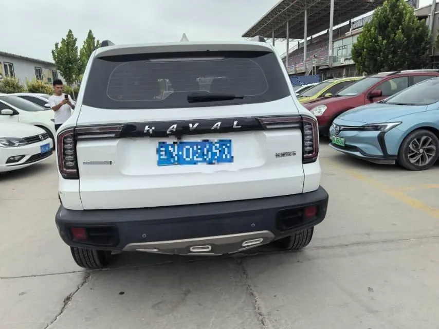 Haval 2021 Big Dog 1.5T Horse Dog Wangcai Edition Automatic Gear 5