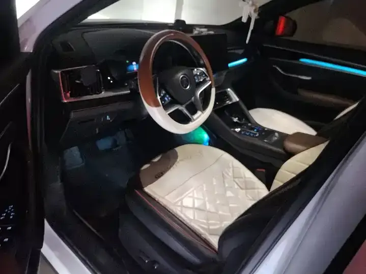Song PLUS 2020 1.5T Automatic Honor Model 12