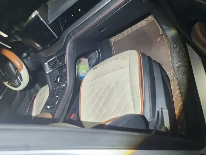 Song PLUS 2020 1.5T Automatic Honor Model 8