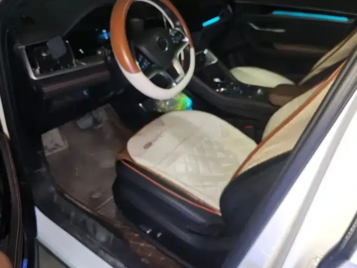 Song PLUS 2020 1.5T Automatic Honor Model 9