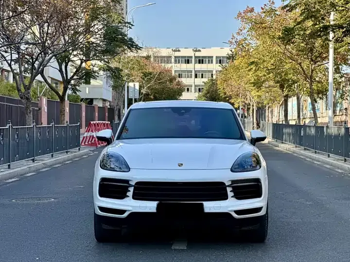 Cayenne New Energy 2023 Cayenne E-Hybrid 2.0T Platinum Edition 2