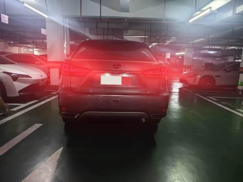 Lexus RX (Imported) 2020 RX300 2.0T Four-wheel Drive Elegant Automatic Gear 10