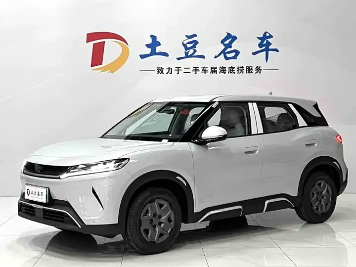 Открыть галерею: Yuan UP 2025 301KM Pilot