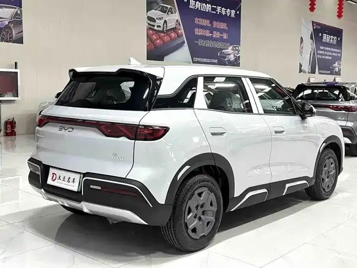 Yuan UP 2025 301KM Pilot 4
