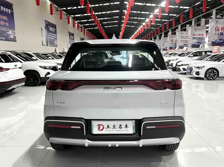 Yuan UP 2025 301KM Pilot 5
