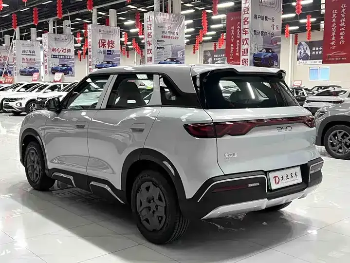 Yuan UP 2025 301KM Pilot 6