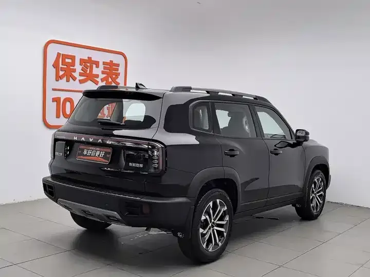 Haval Big Dog 2024 1.5T DCT Labrador Edition 2