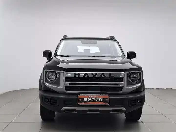 Haval Big Dog 2024 1.5T DCT Labrador Edition 3