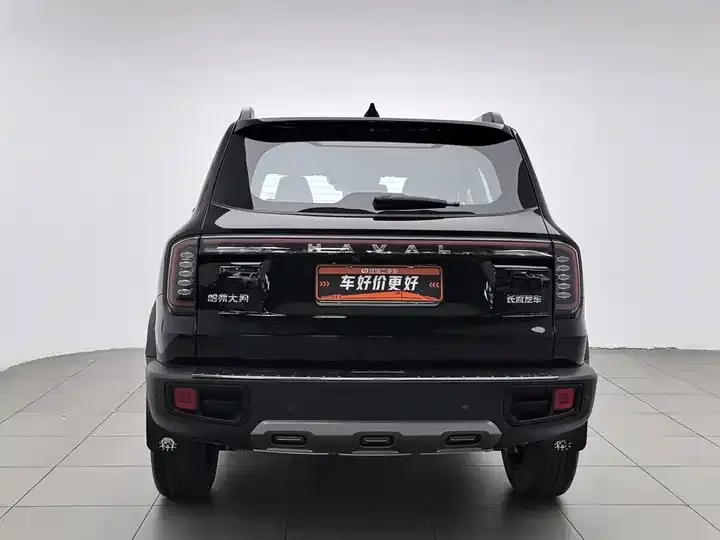 Haval Big Dog 2024 1.5T DCT Labrador Edition 4